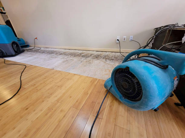 Professional Water Removal technician working in Columbus, MN
